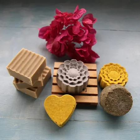 Flower Lanzarote Playa Honda (Lanzarote)