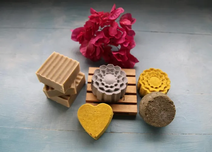 Flower Lanzarote بلايا هوندا