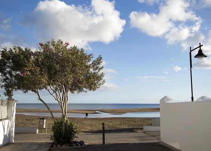 Flower Lanzarote * بلايا هوندا